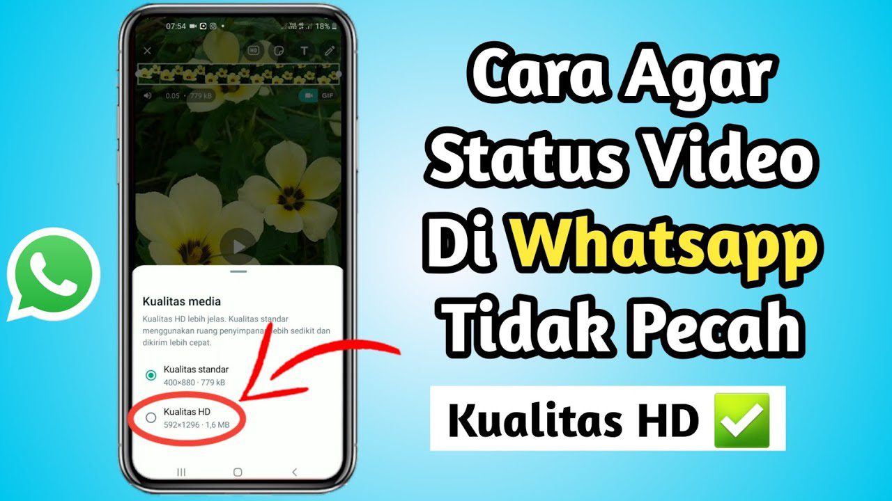 Kenapa Video Story WA jadi Buram? Ketahuilah Penyebabnya + Cara agar Video Tidak Buram